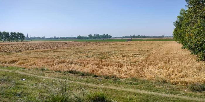 बैसाख माह  में दान देने  से जो पुण्य मिलता है वो तीर्थों  के बराबर है ।डा. ललित तिवारी body image