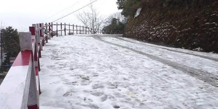 बर्फ़बारी से नैनीताल में बिछी सफ़ेद चादर body image