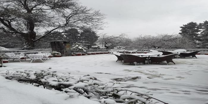 नैनीताल और उससे जुड़े सभी पहाड़ी इलाक़ों में बर्फ़बारी body image