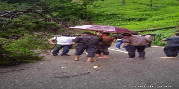 नैनीताल - हल्द्वानी रोड में बलदियाखान के पास पेड़ों के गिरने से मार्ग अवरूद body image