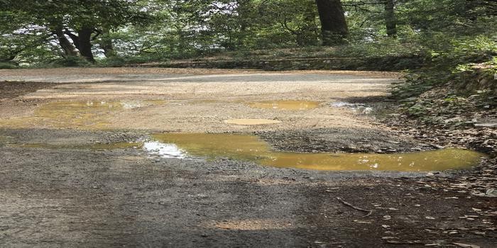 बिरला रोड पर खतरनाक  बना झुका हुआ पोल और सीवर की समस्या: बड़ी दुर्घटना की आशंका body image