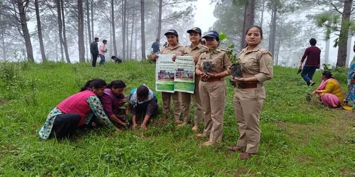 नैनीताल:देवीधूरा में मां के नाम पर पौध रोपण, पूजा कर ली पेड़ों की लंबी उम्र की कामना