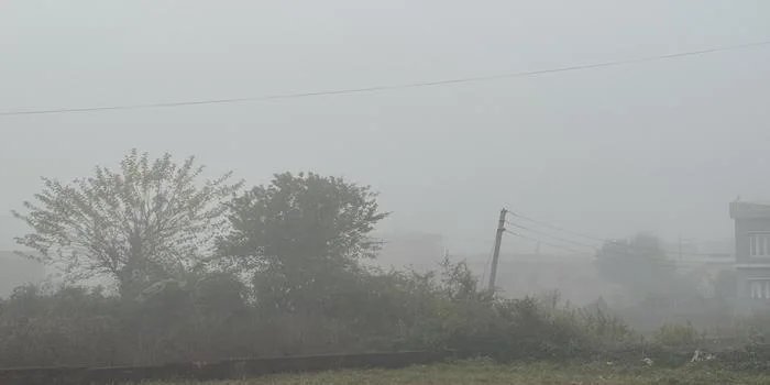 हल्द्वानी में कोहरे और ठंड का कहर, जनजीवन प्रभावित. पहाड़ों में बर्फबारी की संभावना