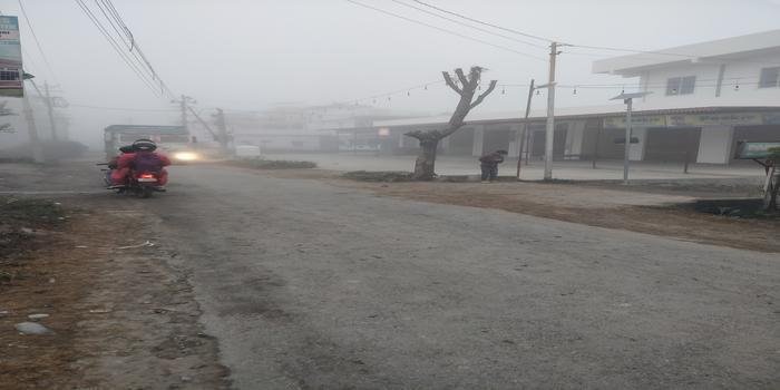 हल्द्वानी में कोहरे के कारण हांड कपाने वाली ठंड