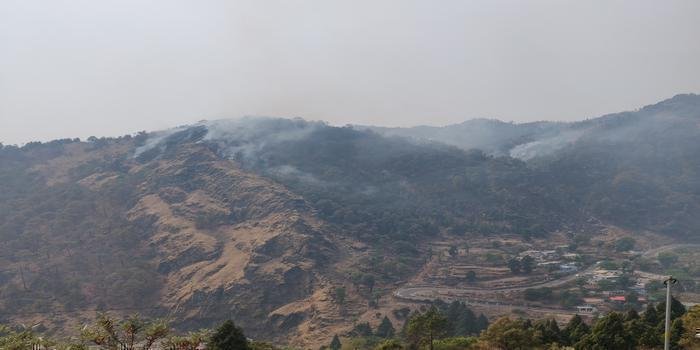 नैनीताल के पास चारखेत के जंगलों में लगी भयंकर आग