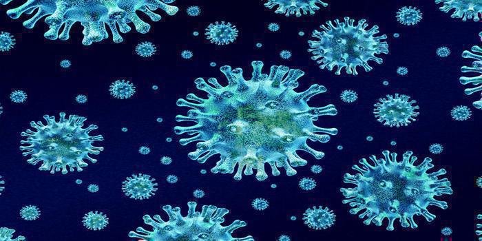 कोरोना संक्रमण में आज तेजी 498 लोग संक्रमित मिले आज