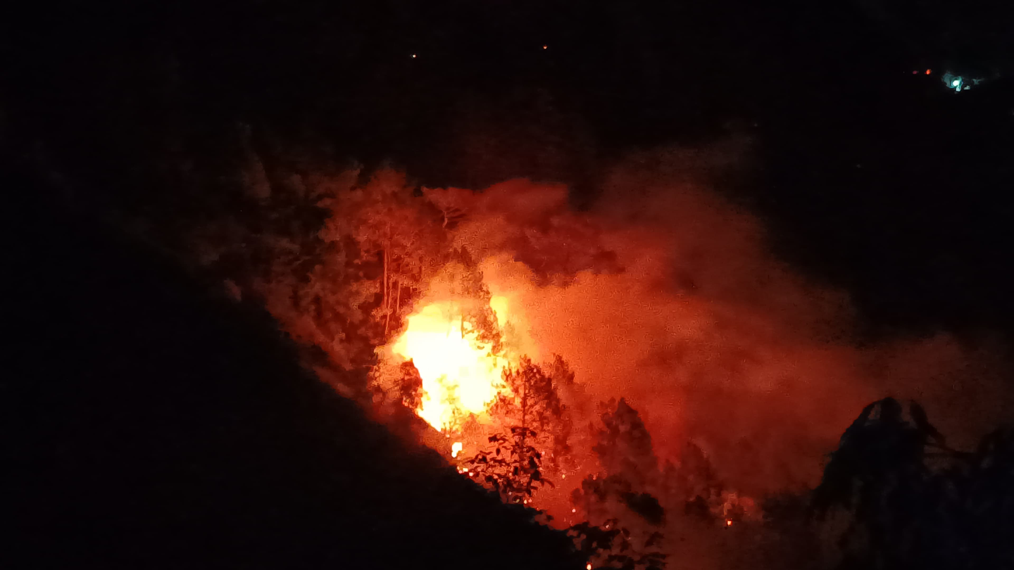 कृष्णापुर में जंगल की आग आबादी तक पहुंची, लोगों ने खुद संभाला मोर्चा