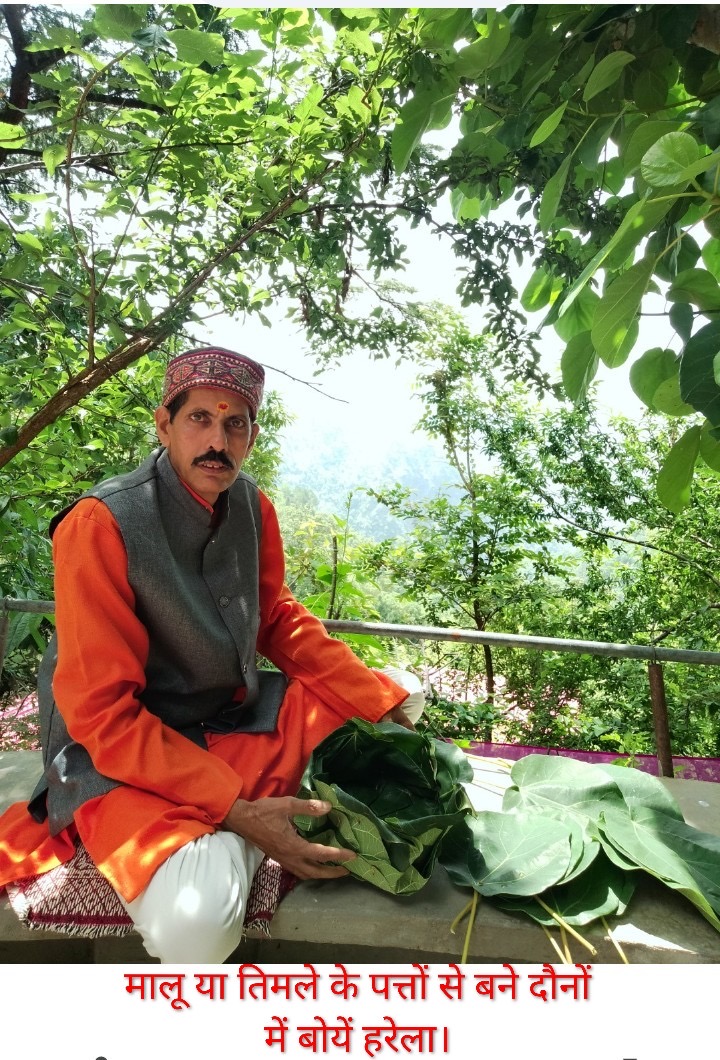 16 जुलाई को मनाया जाएगा हरेला पर्व, जानिए कब और कैसे बोया जाएगा हरेला